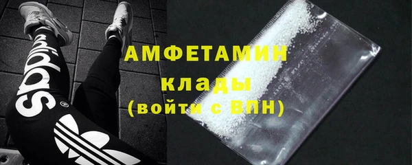 ПСИЛОЦИБИНОВЫЕ ГРИБЫ Гусев