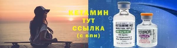 ПСИЛОЦИБИНОВЫЕ ГРИБЫ Гусев
