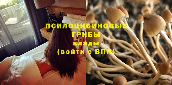 героин Гусь-Хрустальный