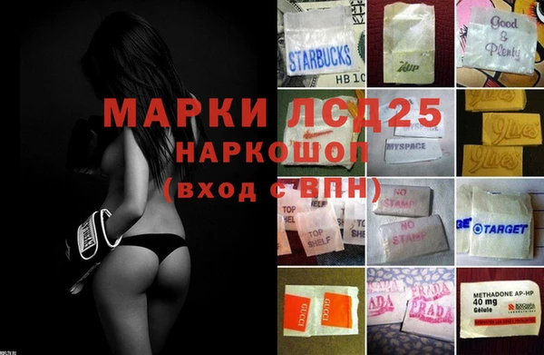 ПСИЛОЦИБИНОВЫЕ ГРИБЫ Гусев