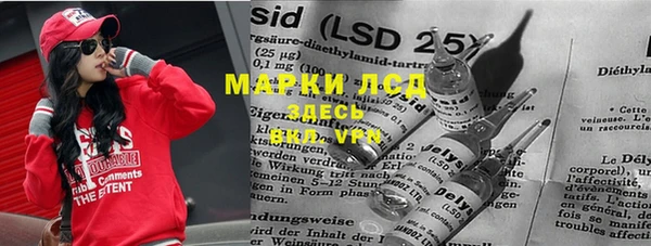 ПСИЛОЦИБИНОВЫЕ ГРИБЫ Гусев