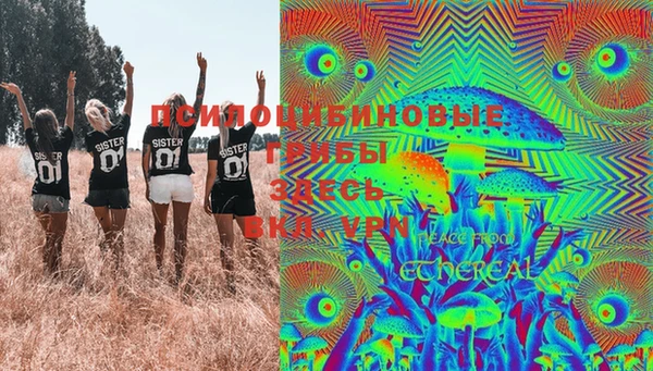 ПСИЛОЦИБИНОВЫЕ ГРИБЫ Гусев