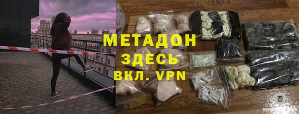 прущие грибы Дмитровск