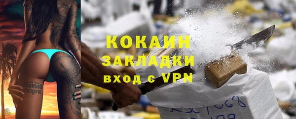 ПСИЛОЦИБИНОВЫЕ ГРИБЫ Гусев
