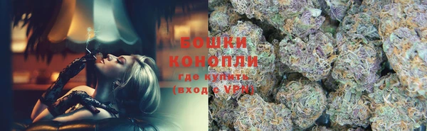 ПСИЛОЦИБИНОВЫЕ ГРИБЫ Гусев
