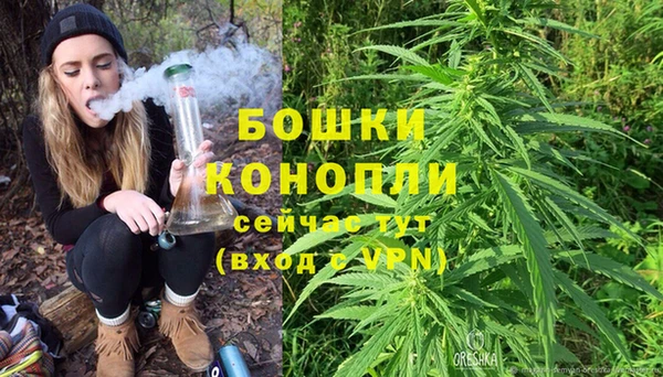 прущие грибы Дмитровск